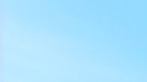 El gobernador de California, Gavin Newsom, recibió al presidente Donald Trump cuando vino a recorrer las zonas afectadas por los incendios forestales del sur de California.