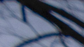 La demanda de lo sindicatos contra la Oficina de Administración de Personal (OPM) hizo que un juez suspenda la medida hasta el lunes.