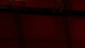 Fernanda Torres, Cynthia Erivo, Zoe Saldaña, Mikey Madison, Monica Barbaro y Ariana Grande en la cena de los nominados a la 97ª edición de los Premios Óscar.