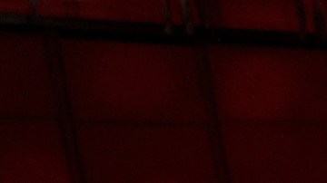 Fernanda Torres, Cynthia Erivo, Zoe Saldaña, Mikey Madison, Monica Barbaro y Ariana Grande en la cena de los nominados a la 97ª edición de los Premios Óscar.