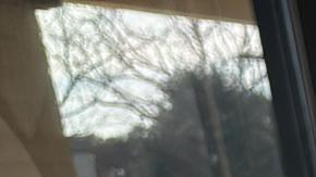 Niños del Distrito Escolar Unificado de Los Ángeles (LAUSD) ya no pueden usar el teléfono celular a la hora de clases.