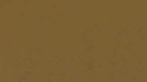 Panaderías en EE.UU. enfrentan desafíos por alza en los precios de los huevos