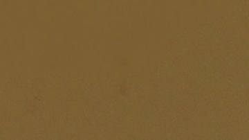 Panaderías en EE.UU. enfrentan desafíos por alza en los precios de los huevos