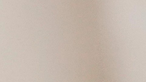 El papa Francisco tenía 88 años.