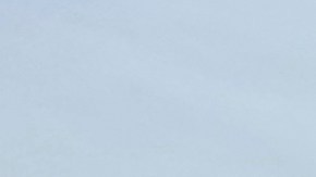 El oficial que murió fue identificado como Andrew Duarte del Departamento de Policía del Municipio de West York.