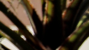 A police officer walks near the scene of a house fire and shooting Tuesday, Feb. 23, 2016, in Phoenix. Officers dodged bullets fired by the shooter and donned breathing gear to enter the burning home to help the victims. (AP Photo/Morry Gash)