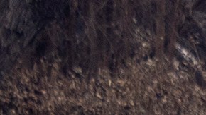 Homeowners dressed in full body protective gear walk among the rubbles of their house destroyed by the Palisades Fire, in the Pacific Palisades neighborhood of Los Angeles, Calif., Saturday, Jan. 25, 2025.(AP Photo/Etienne Laurent)