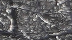 High school students disperse after police declared an unlawful assembly after a fist fight among students broke at a rally to stop President Trump's mass deportations and demand immigration reform at Grand Park in downtown Los Angeles on Friday, Feb. 7, 2025. (AP Photo/Damian Dovarganes)