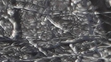 High school students disperse after police declared an unlawful assembly after a fist fight among students broke at a rally to stop President Trump's mass deportations and demand immigration reform at Grand Park in downtown Los Angeles on Friday, Feb. 7, 2025. (AP Photo/Damian Dovarganes)