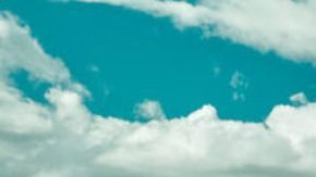 Referencia de la Volkswagen Amarok