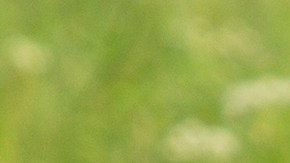 Retiran del mercado más de un millón de neveras portátiles Igloo por riesgo de lesiones graves