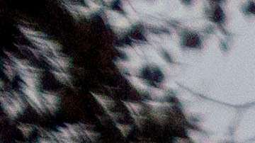 Volunteers from Samaritan's Purse help search a home for items that survived the Eaton Fire, Thursday, Feb. 6, 2025, in Altadena, Calif. (AP Photo/Ethan Swope)