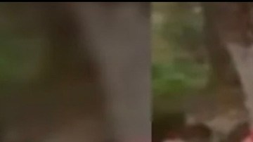 Reunión de alcaldes con narco