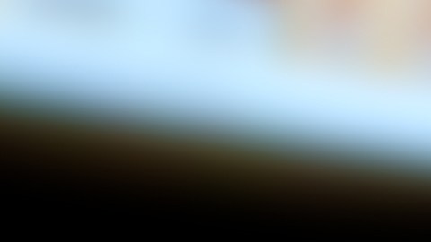 Cupones de SNAP: calendario de pagos de febrero 2025