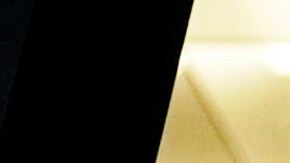 La Administración del Seguro Socia se sumó a otras agencias federales que realizan despidos masivos.