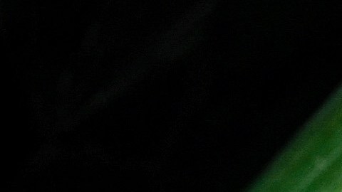 Entre los equipos afectados se encuentran teléfonos de gama alta y media