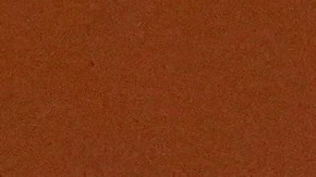 Shakira acepta su grammy