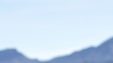 Thomas Douglas Homan, nombrado “zar fronterizo”