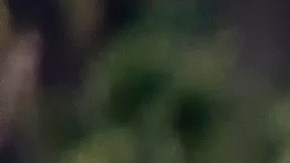 Trabajador agrícola contrajo el primer caso humano de gripe aviar en Ohio