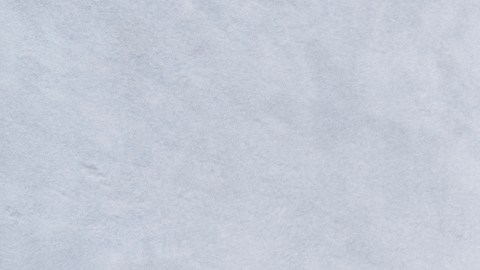 (I-D) Trabajadores del sindicato UFCW James Peete y Grace Garcia posan para un retrato afuera de la tienda Vons en Glendale.