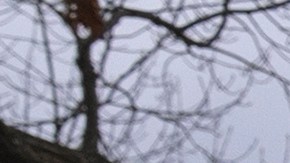 Manifestantes protestan contra el presidente Trump y su aliado Elon Musk mientras desmantelan el gobierno federal, incluyendo a USAID.