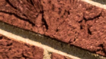 Shannon admitió haber robado los cheques en el trabajo desde abril hasta julio de 2023.