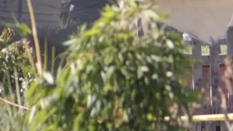 Violencia en México