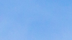 5 nuevos productos de Walmart que están causando sensación entre los compradores