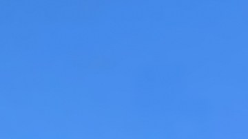 Walmart vende estantería “moderna y clásica” de $237 por sólo $90