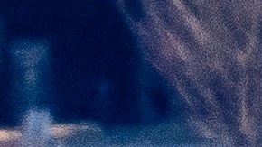 Recuperan restos de todas las víctimas del accidente aéreo de Washington DC