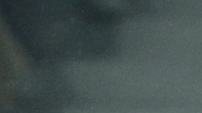 Villeneuve D'ascq (France), 29/01/2025.- Santiago Gimenez of Feyenoord celebrates with his team mates after scoring the 1-1 goal during the UEFA Champions League match between LOSC Lille and Feyenoord Rotterdam in Villeneuve-d'Ascq, France, 29 January 2025. (Liga de Campeones, Francia) EFE/EPA/MOHAMMED BADRA