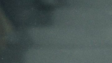 Villeneuve D'ascq (France), 29/01/2025.- Santiago Gimenez of Feyenoord celebrates with his team mates after scoring the 1-1 goal during the UEFA Champions League match between LOSC Lille and Feyenoord Rotterdam in Villeneuve-d'Ascq, France, 29 January 2025. (Liga de Campeones, Francia) EFE/EPA/MOHAMMED BADRA