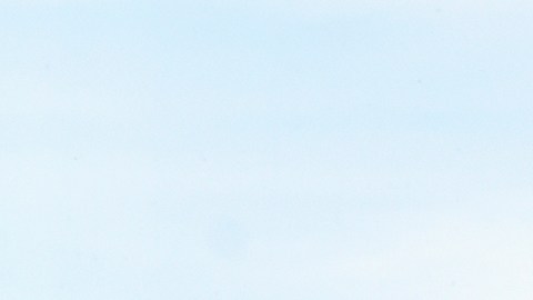 Administración Trump inicia despido de personal de la FAA a semanas del fatal accidente aéreo en Washington