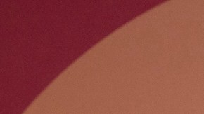 Alec Baldwin y su esposa