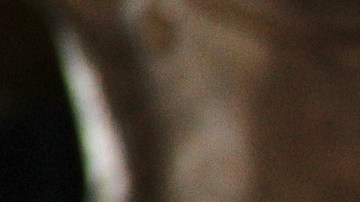 "Es un perrito faldero": Alfredo Adame habla de Aleska Génesis en 'LCDLF All-Stars'