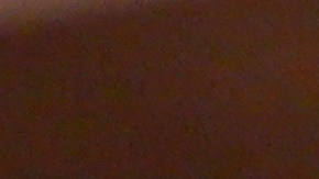 El café gratuito que ofrece Starbucks puede ser caliente o helado y tiene un tamaño de 12 onzas.