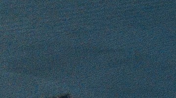 Canal de Panamá niega acuerdo de que los buques de EE.UU. no paguen tarifas en la vía