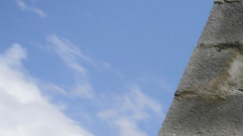 Los niños nacidos en Estados Unidos adquieren la ciudadanía por nacimiento, según la Constitución.