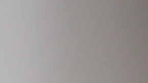 Retiran del mercado comida natural para perros por riesgo de salmonela