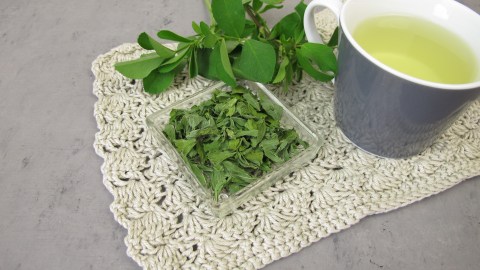 Para preparar un té de alfalfa vas a necesitar una cucharada de hojas secas de alfalfa, una taza con 250 ml de agua caliente y miel o limón para mejorar el sabor.