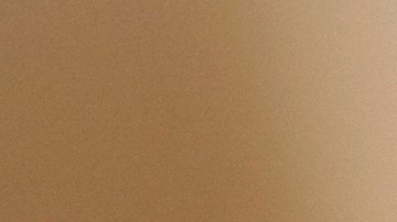 La vacuna contra Covid ayuda al cuerpo a desarrollar inmunidad al virus.