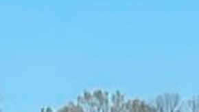 Adolescente de California es sentenciado a 48 meses de prisión por amenazas con armas de fuego y bombas