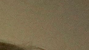 Trump firmó una proclamación que declara el 9 de febrero como el Día del Golfo de América y le cambió el nombre a ese golfo.