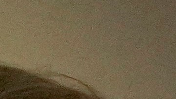 Trump firmó una proclamación que declara el 9 de febrero como el Día del Golfo de América y le cambió el nombre a ese golfo.