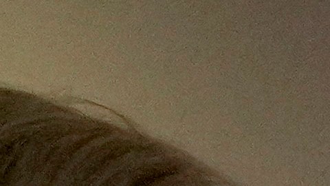 Trump firmó una proclamación que declara el 9 de febrero como el Día del Golfo de América y le cambió el nombre a ese golfo.