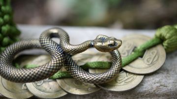 La energía de la Serpiente influye en la última semana de febrero.