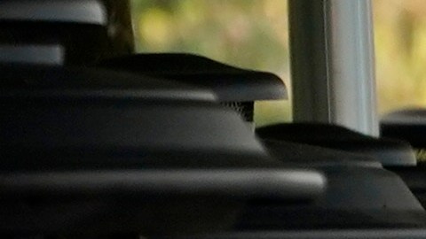 Trump ha prometido recortes de impuestos entre los que incluyó no pagarlos por propinas.