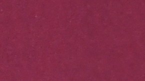 Karla Sofía Gascón y Selena Gomez