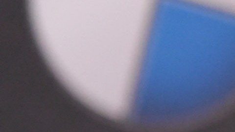 Michelle Trachtenberg