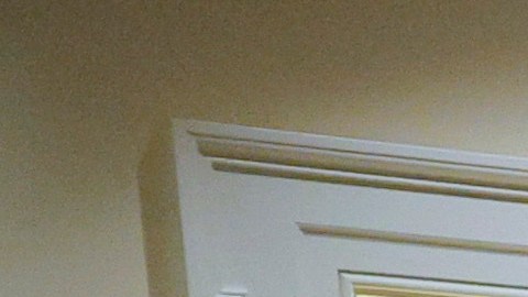 Elon Musk dominó en la primera reunión del gabinete de Trump en la Casa Blanca.